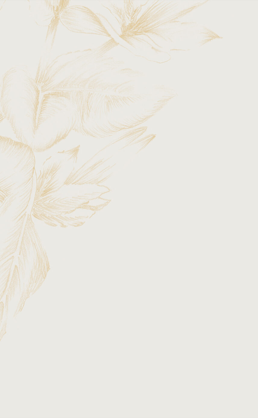 Light flower background