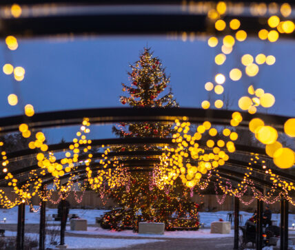 A big Christmas tree with Christmas lights around it as part of the Christmas Wonderland package.