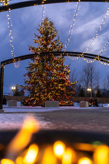 A big Christmas tree with Christmas lights around it as part of the Christmas Wonderland package.