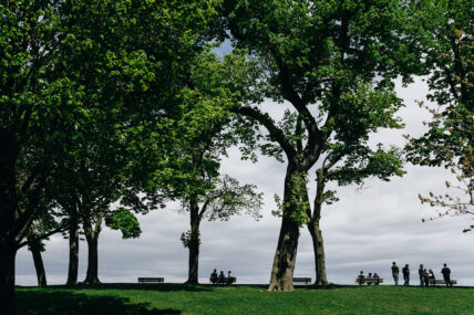 A view of some trees that you can see as part of the Niagara's finest escape package.