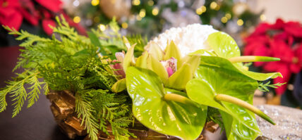A green floral display as part of the holiday sparkle package.