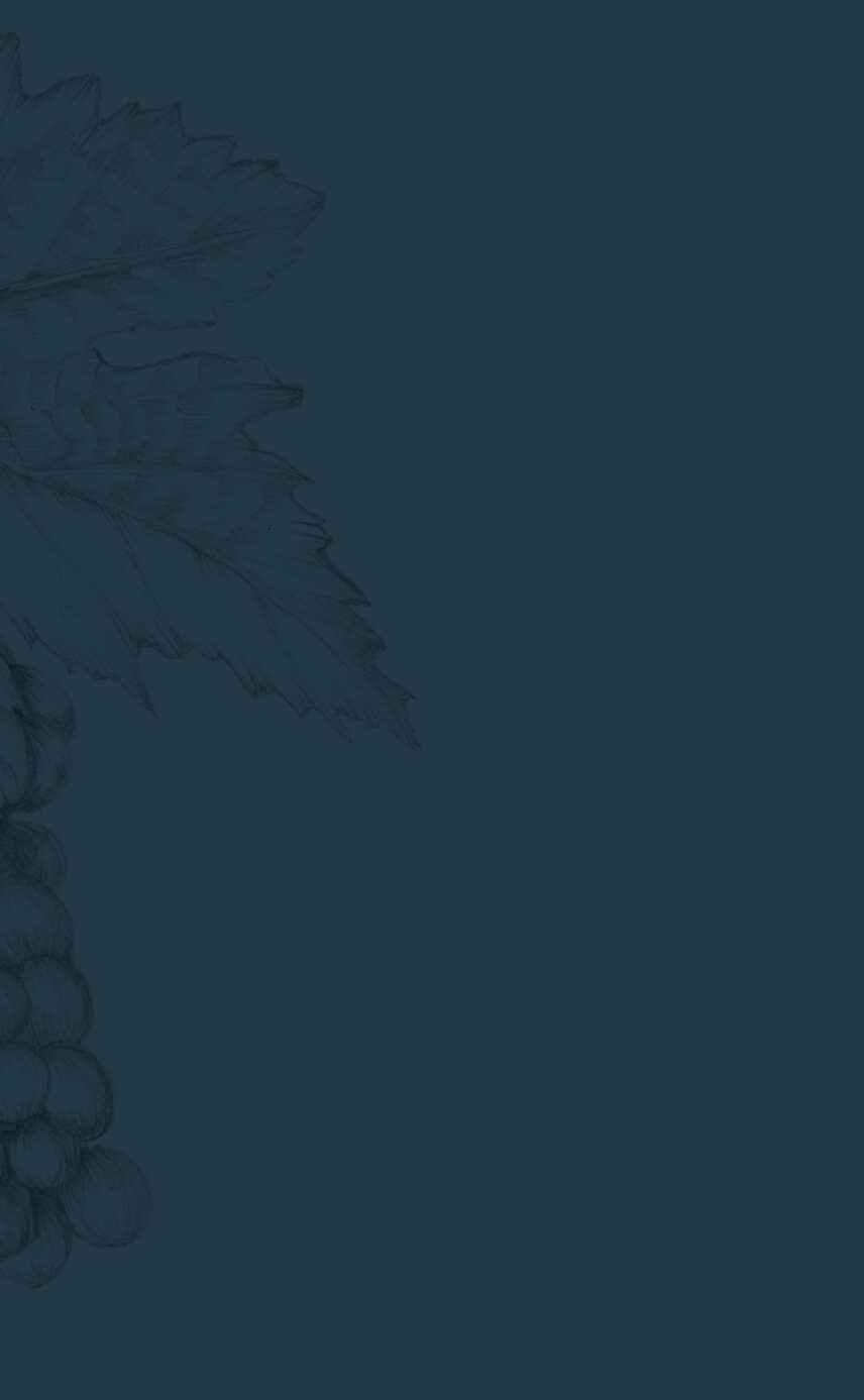 Dark Illustration of Grapes