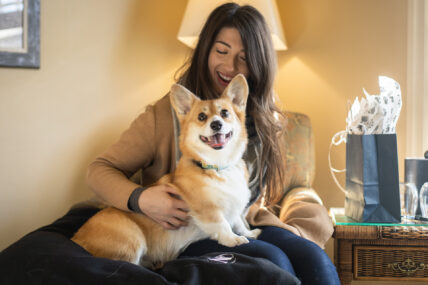 A corgi sitting on someone's lap as part of the Puppies in Paradise Package.