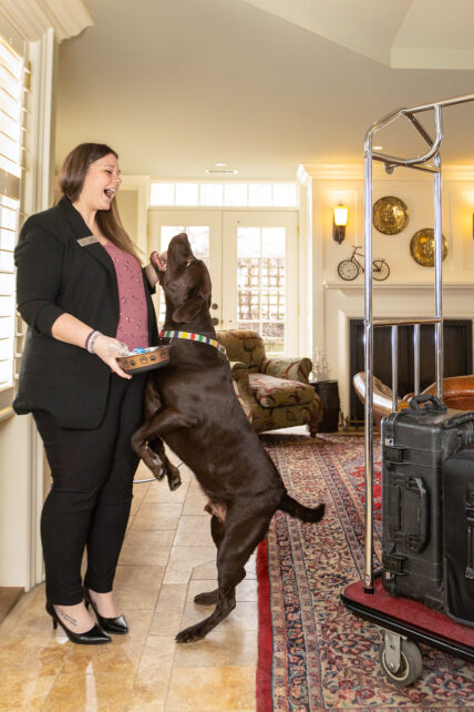 A dog being fed at Niagara's Finest Hotels.