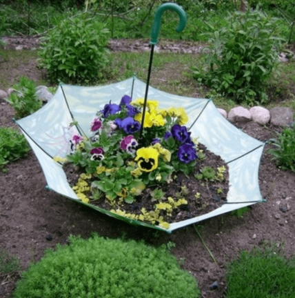 An umbrella planter in a flower garden in spring in Niagara-on-the-Lake.