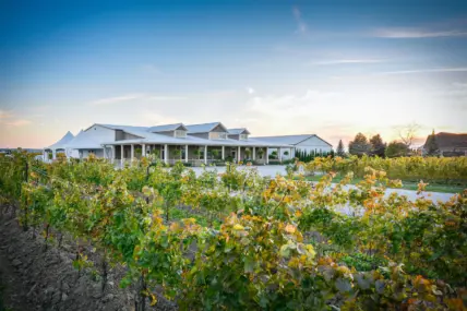 Bella Terra Vineyards, a unique winery experience in Niagara-on-the-Lake