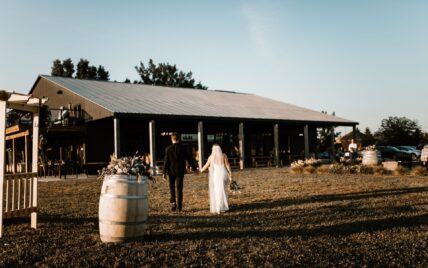 Bride and Groom portrait at Queenston Mile Vineyard in Niagara-on-the-Lake