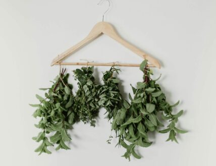 Garden herbs hung upside down to be dried in Niagara-on-the-Lake.