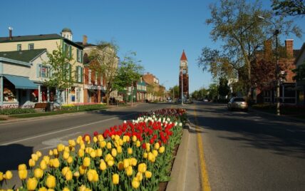 Queen Street, Niagara on the Lake, in Spring with flowers in bloom.