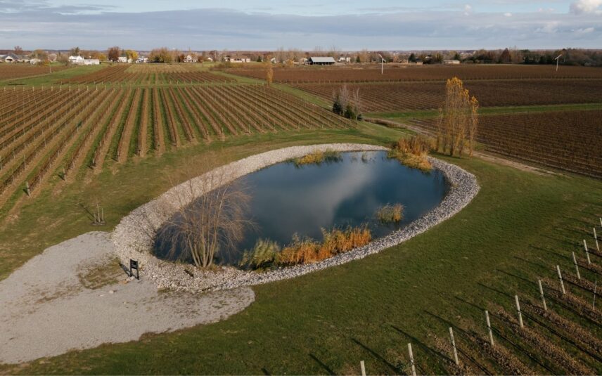 Romantic vineyard ceremony by the pond at Amo Estate Winery in Niagara on the Lake