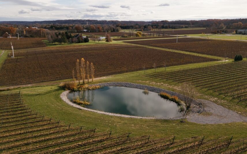 Romantic vineyard ceremony by the pond at Amo Estate Winery in Niagara, Ontario