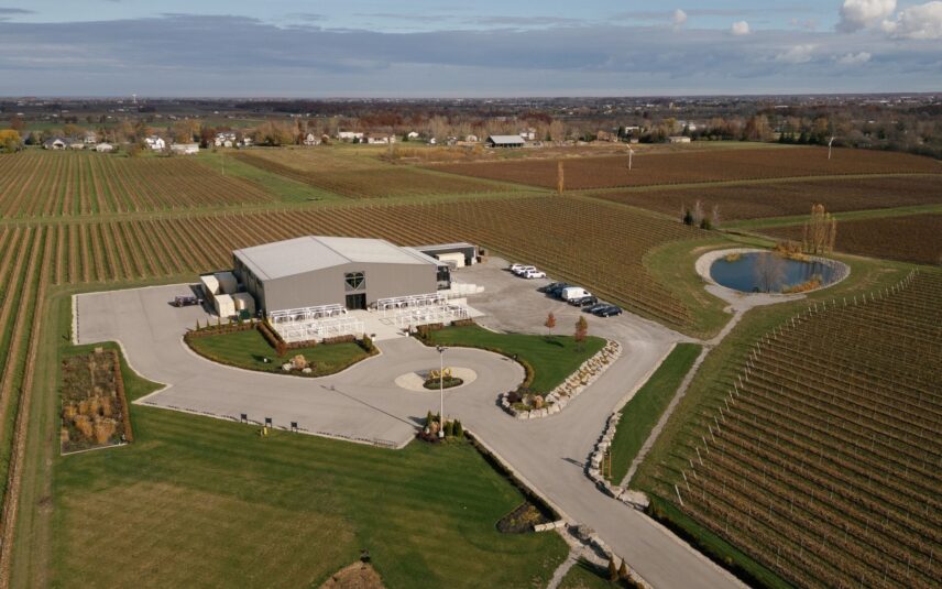 Amo Estate Winery wedding venue seen from above and surrounded by rows of vines