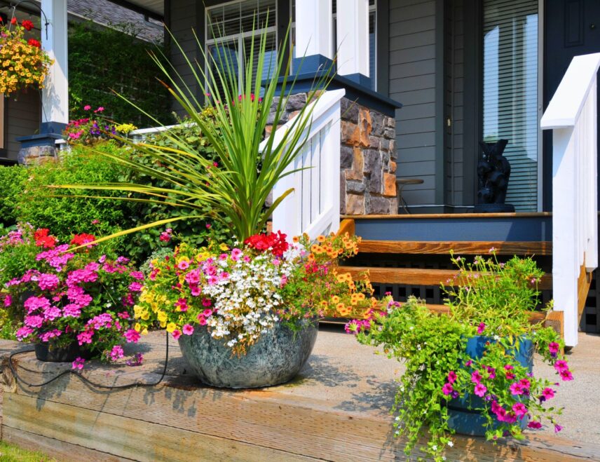 Give Your Porch Pots a Late Summer Refresh with tips from Clippings Floral Design team